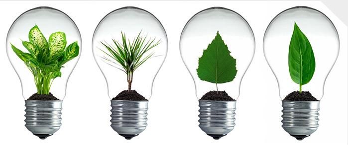 energia renovable
